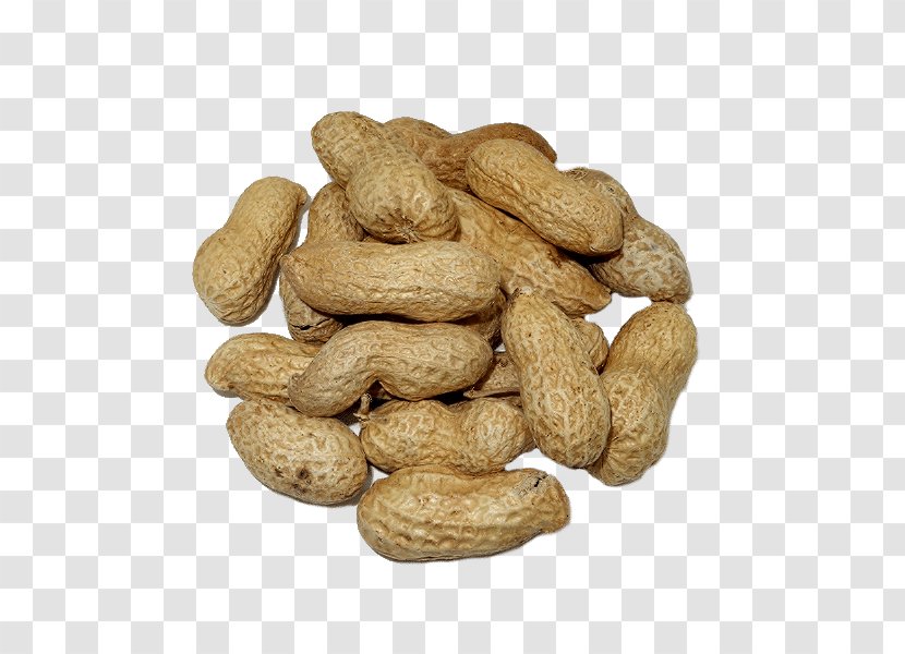 Peanut Nuts Cashew Fruit - Seeds Transparent PNG