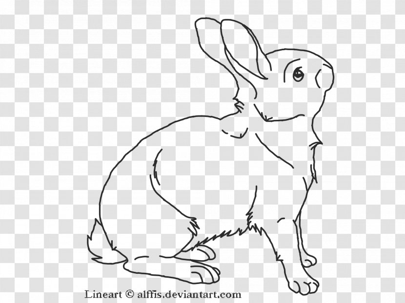 Domestic Rabbit Line Art Hare - Whiskers Transparent PNG