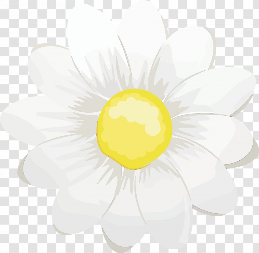 Cut Flowers Petal Flower Plants Science Transparent PNG