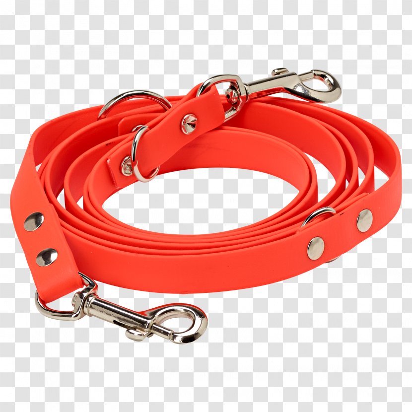 Leash Dog Collar Hunting - Red Transparent PNG