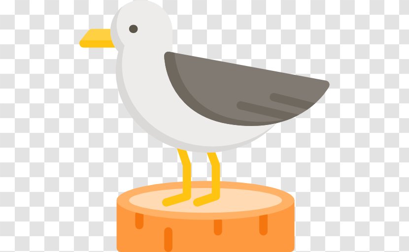 Clip Art - Wing - Seagull Transparent PNG