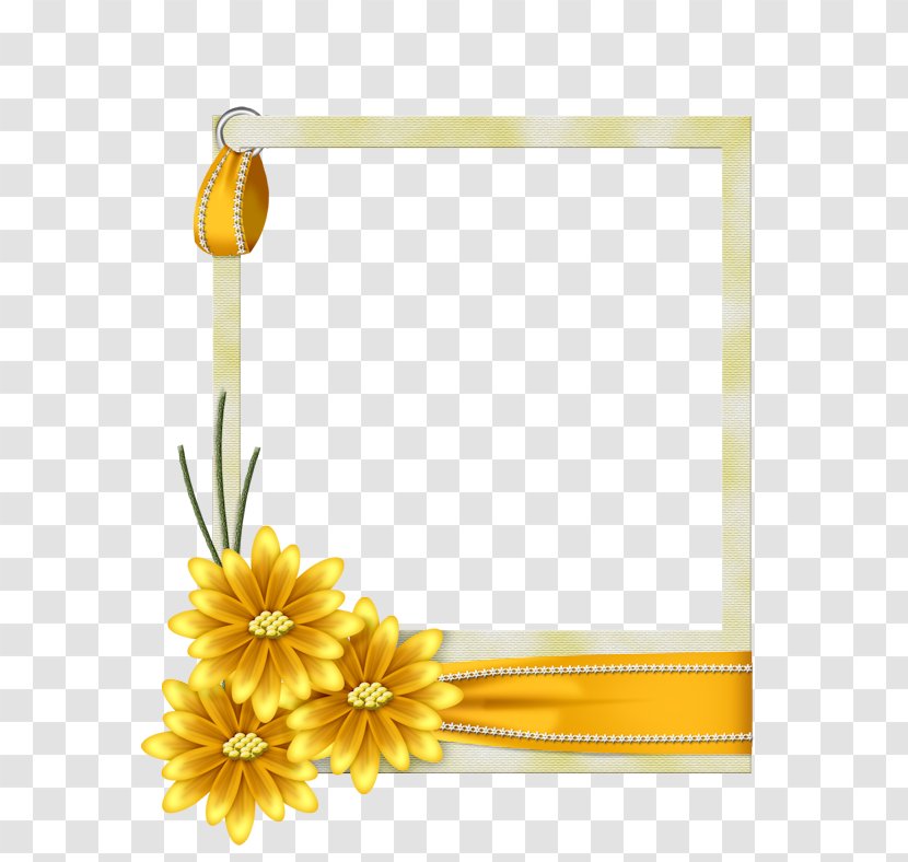 Picture Frames Flower - Flowering Plant - Yellow Flowers Border Transparent PNG