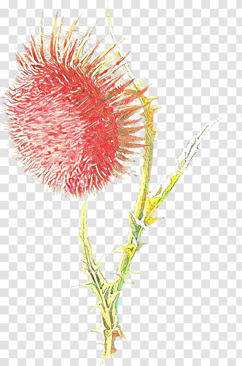 Flower Plant Thistle Thorns, Spines, And Prickles Transparent PNG