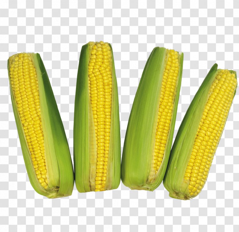 Corn On The Cob Flint Waxy Sweet - Crescent Transparent PNG