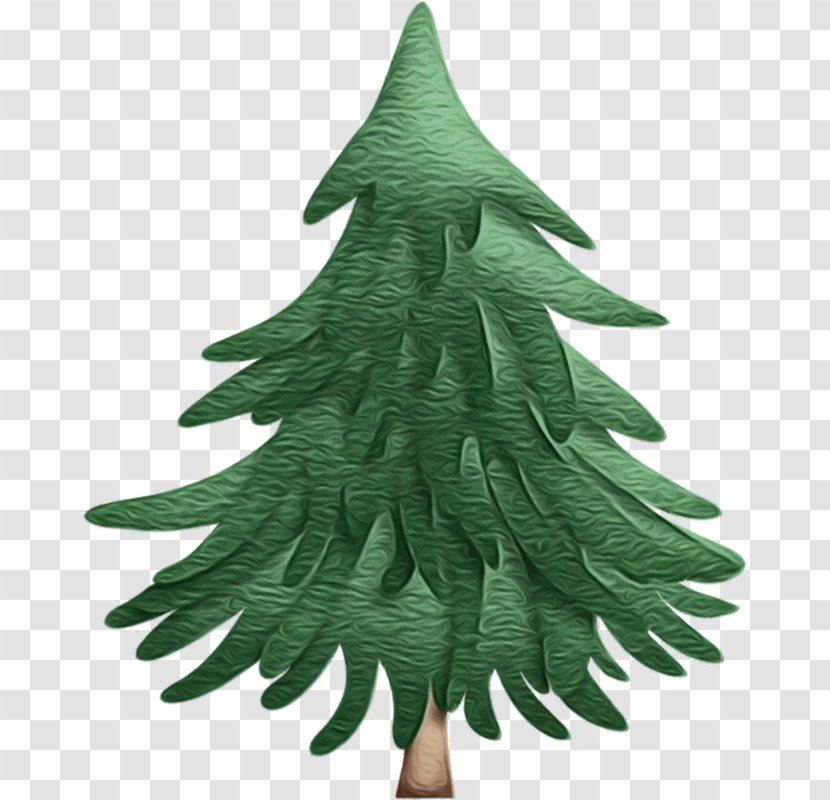 Christmas Tree - Evergreen - Woody Plant Transparent PNG