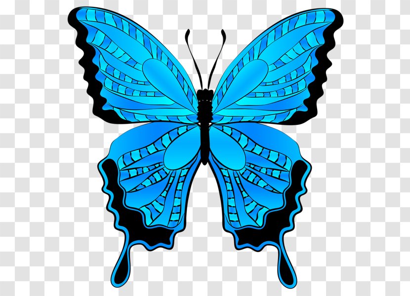 Butterfly Clip Art - Blue Transparent PNG