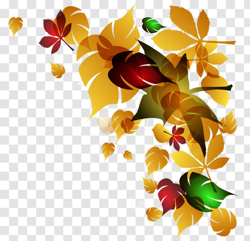 Leaf - Floral Design - Flower Arranging Transparent PNG