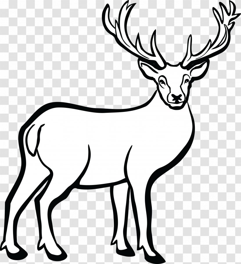White-tailed Deer Line Art Clip - Blog Transparent PNG