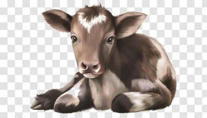 Calf Cattle Infant Illustration - Livestock - Hand-painted Donkey Transparent PNG