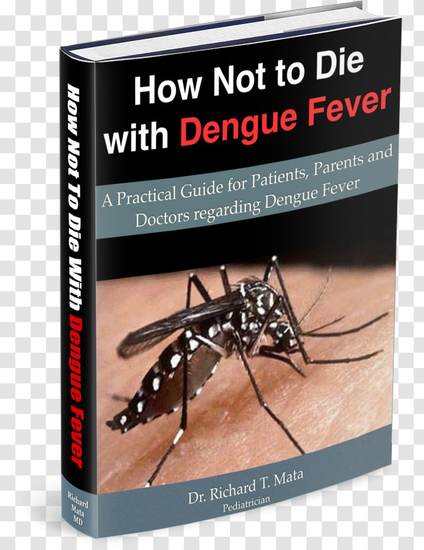 Aedes Albopictus Yellow Fever Mosquito Advertising Dengue Transparent PNG