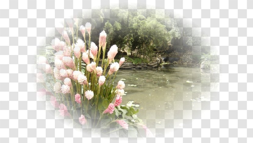 Flora Flower Petal Spring Framework - Paisajes Transparent PNG