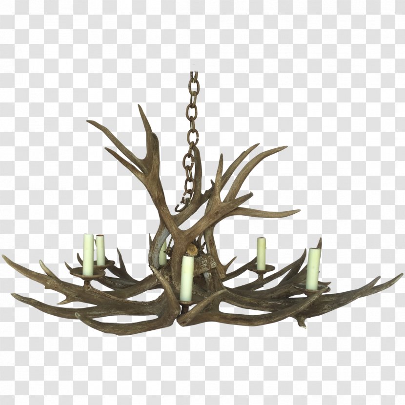 Light Fixture Lighting Antler Kitchen & Bar Transparent PNG