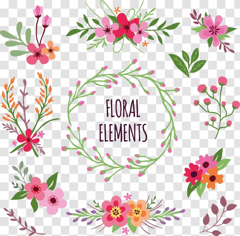 Flower Download Clip Art - Flora - Floral Elements Free Transparent PNG
