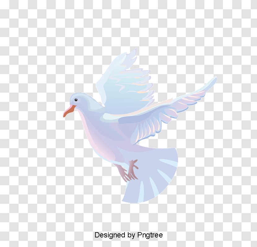 Pigeons And Doves Rock Dove Vector Graphics As Symbols Illustration - Water Bird - Pigeon Christmas Transparent PNG