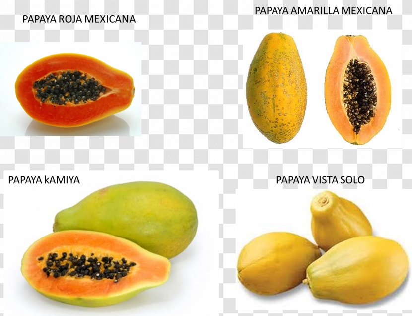 Papaya Food Topical Medication Skin Pawpaw - Fruit Transparent PNG