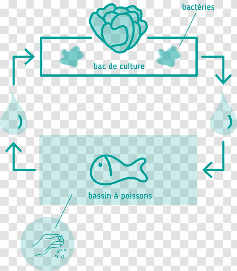 Exodes Urbains Aquaponics Aquaculture Farm Hydroponics - Indiegogo Inc - Smart Transparent PNG