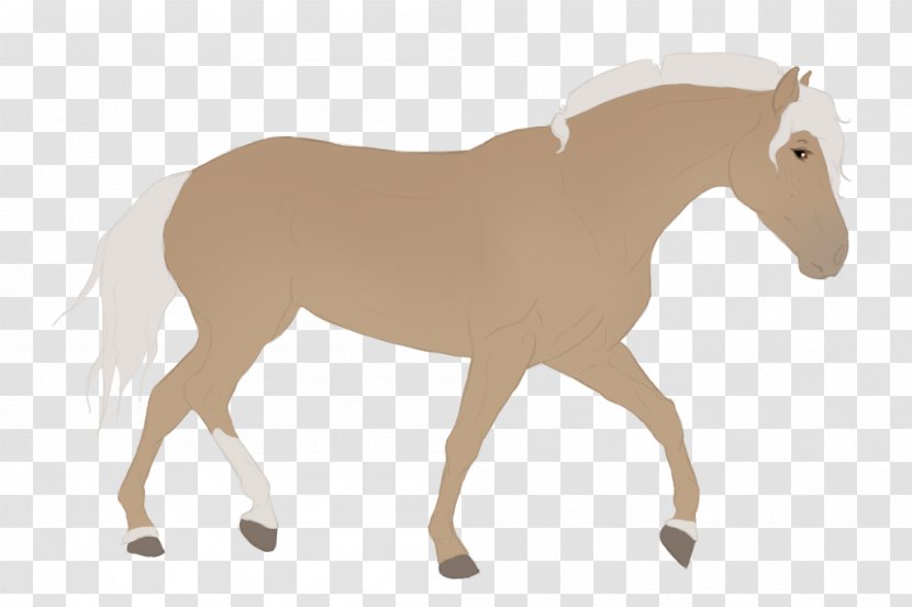 Mustang Foal Stallion Mare Colt - Hey Arnold Transparent PNG