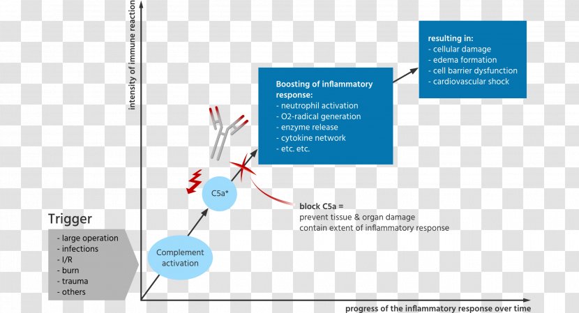 Complement Component 5a System Inflammation C5a Receptor - Text - Technology Transparent PNG