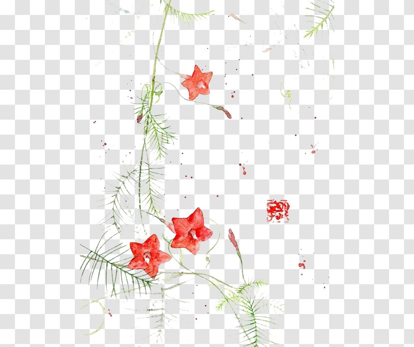 Watercolor Painting Chinese Art Illustration - Plant - Red Star Flower Transparent PNG