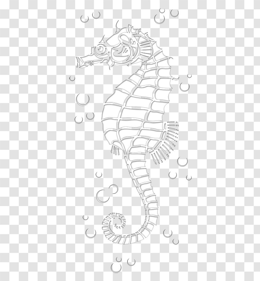 Seahorse Pipefishes And Allies Line Art Sketch - Organism - Sea Horse Transparent PNG