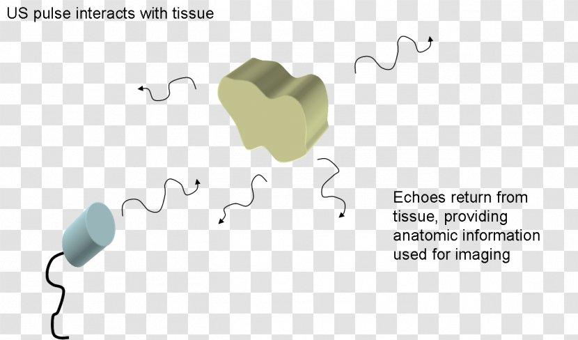 Low-intensity Pulsed Ultrasound Definition Pulse Repetition Frequency - Flower - Heart Transparent PNG