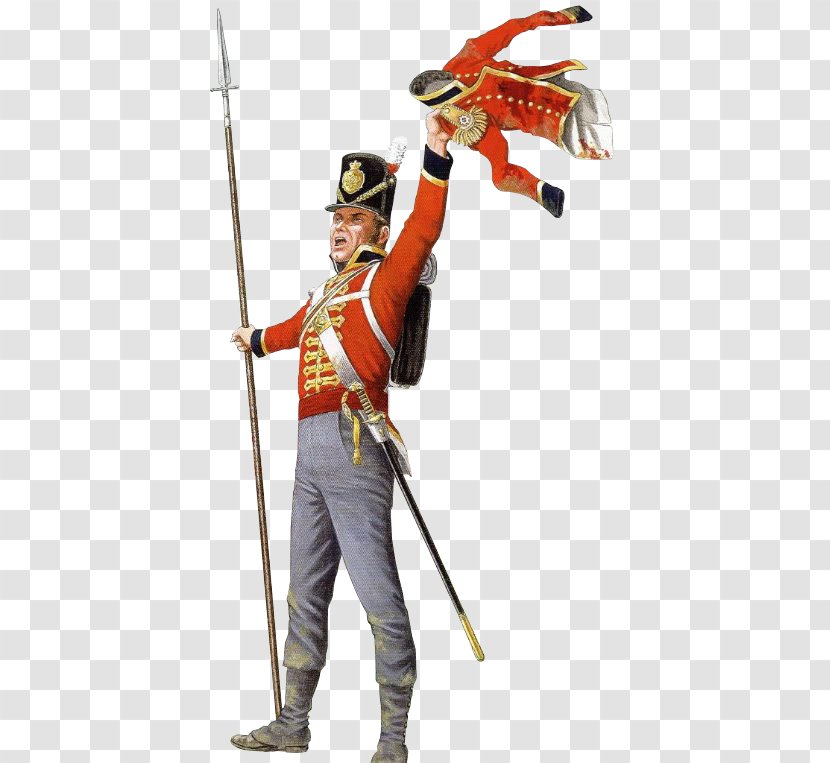 Napoleonic Wars Grenadier Battalion Regiment Infantry Of The British Army - Figurine - Soldier Transparent PNG