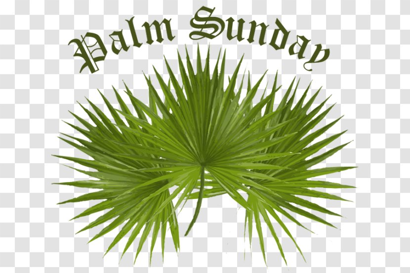 Palm Sunday Arecaceae Facebook Easter Clip Art - Border Transparent PNG