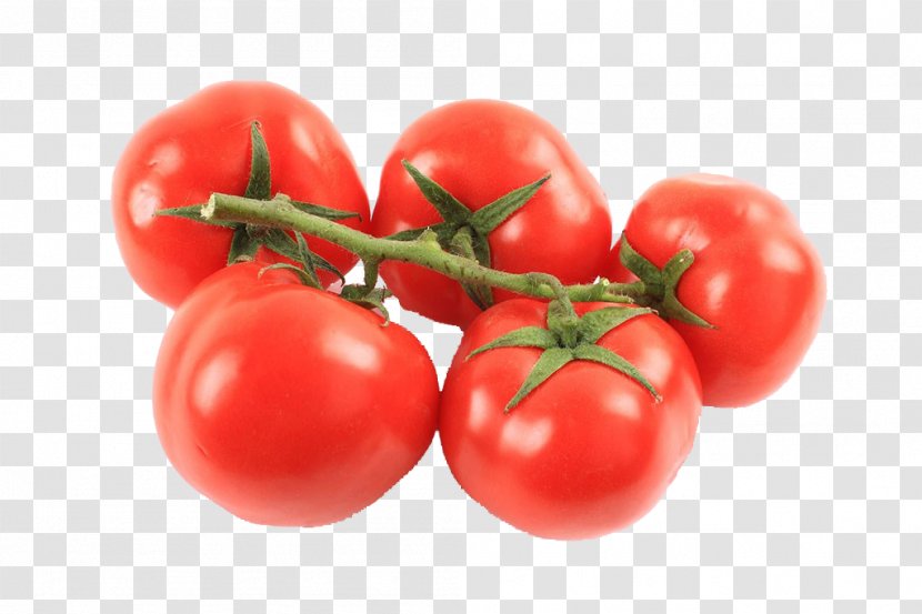 Plum Tomato Bush - Local Food - Tomatoes Pictures Transparent PNG