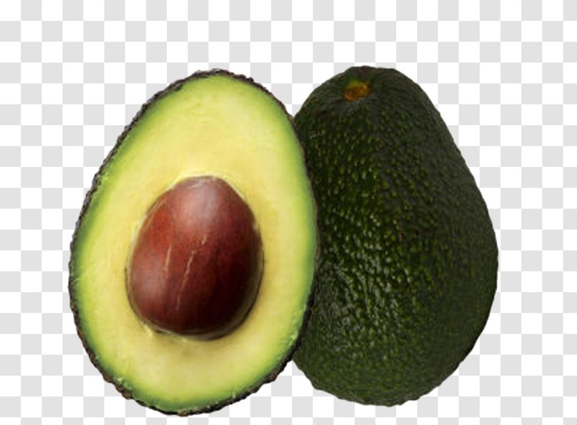Avocado Fruit Food - Ingredient - Fresh Transparent PNG