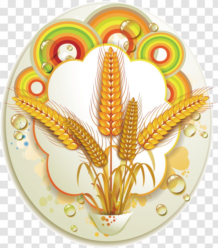 Common Wheat Ear Clip Art - Ears Of Corn Label Transparent PNG