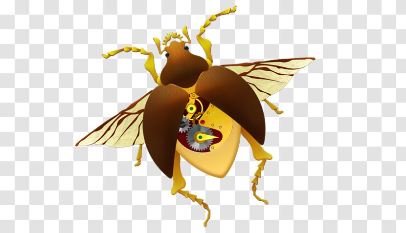 Honey Bee Butterfly Lepidoptera - Bu Transparent PNG