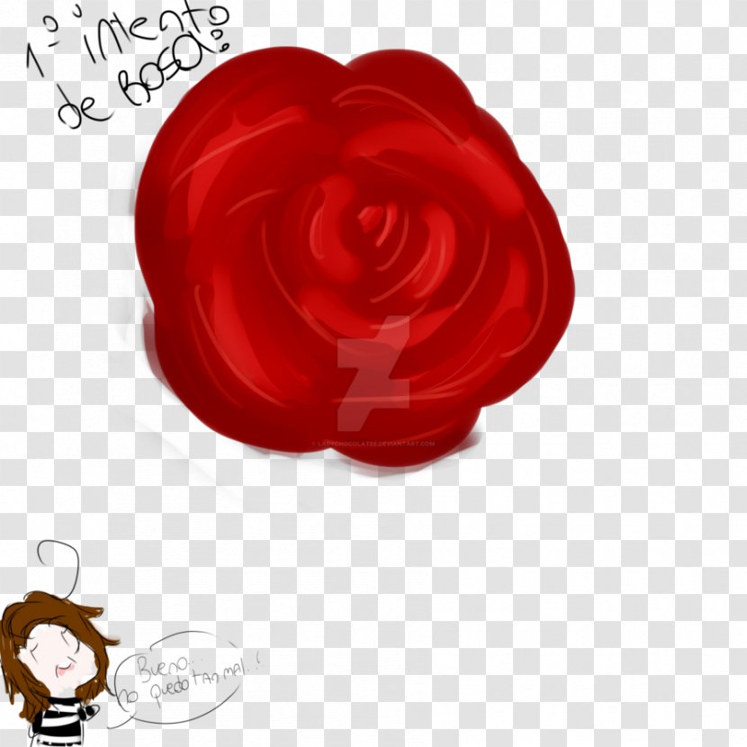Garden Roses Petal - Red - Rose Transparent PNG