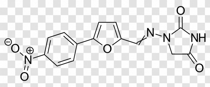 Ryanodine Receptor Muscle Suxamethonium Chloride Nerve - Tree - Frame Transparent PNG