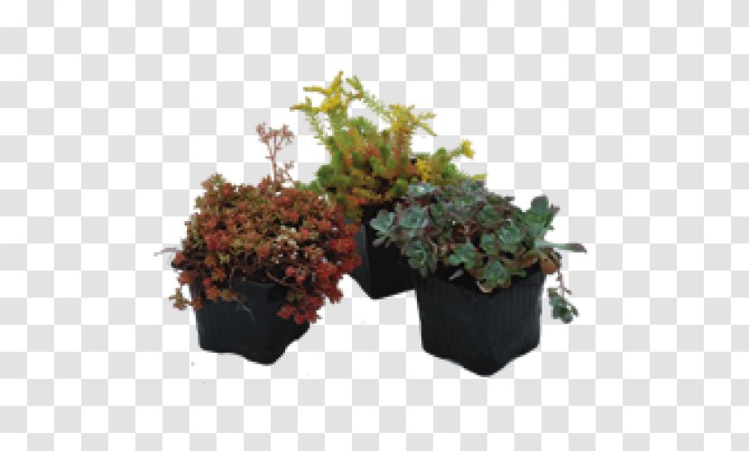 Artificial Flower Flowerpot Houseplant Shrub Herb Transparent PNG