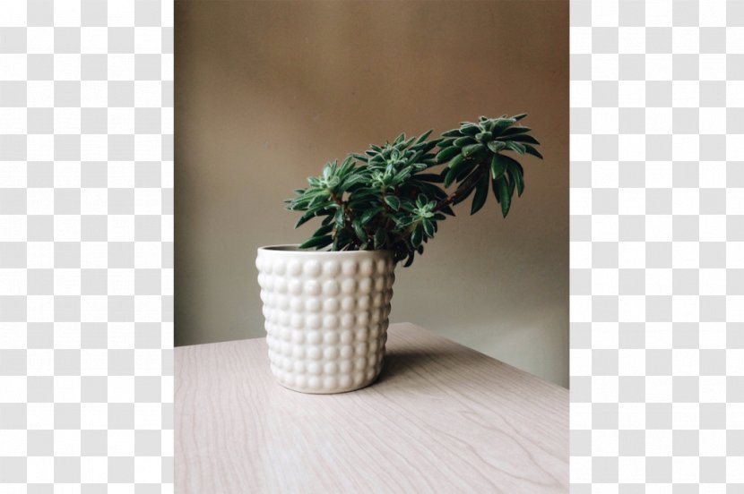 Houseplant Ceramic Flowerpot - SUCULENTA Transparent PNG