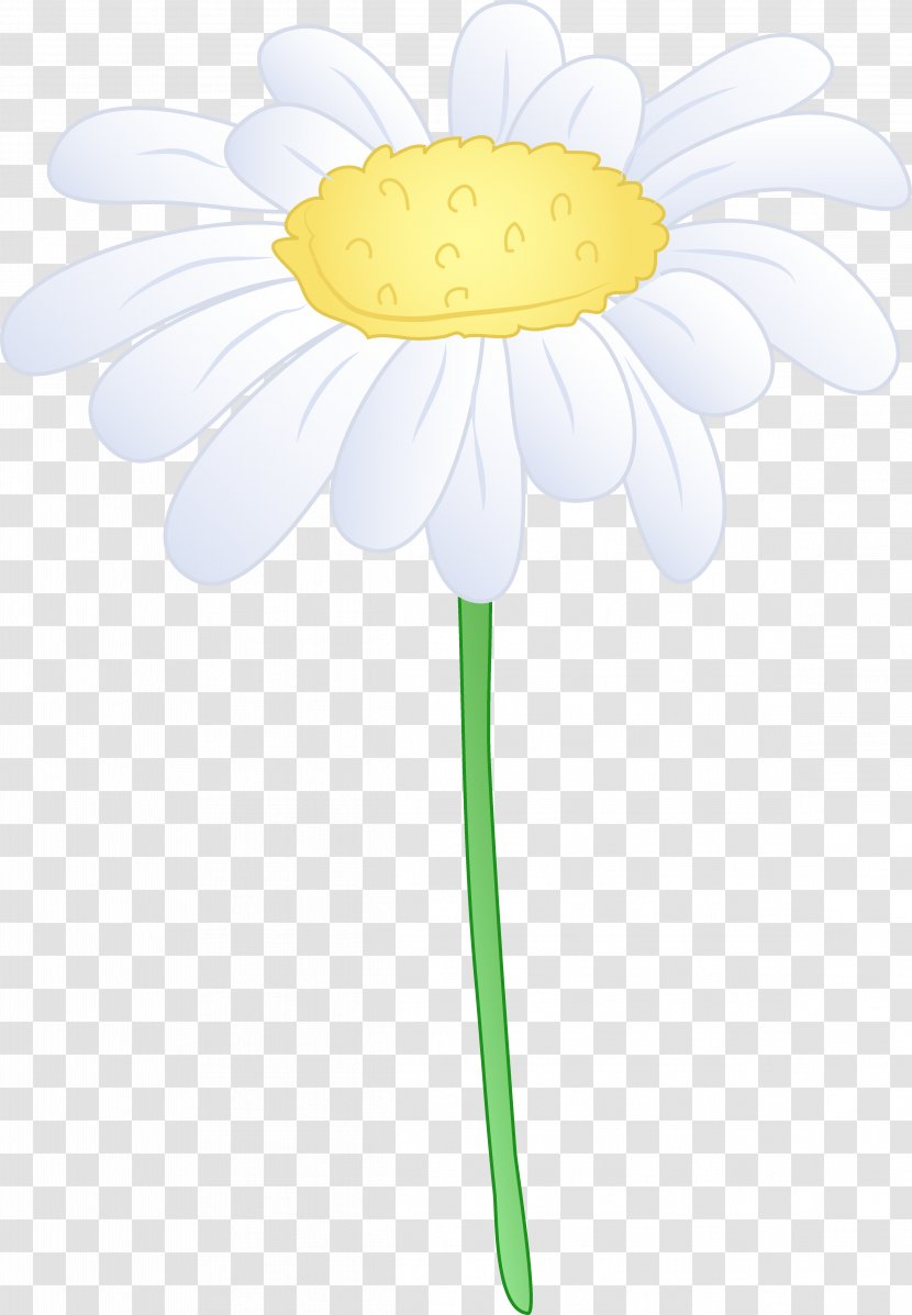 Common Daisy Oxeye Sunflower Transvaal Illustration - Plant - Flower Cliparts Transparent PNG