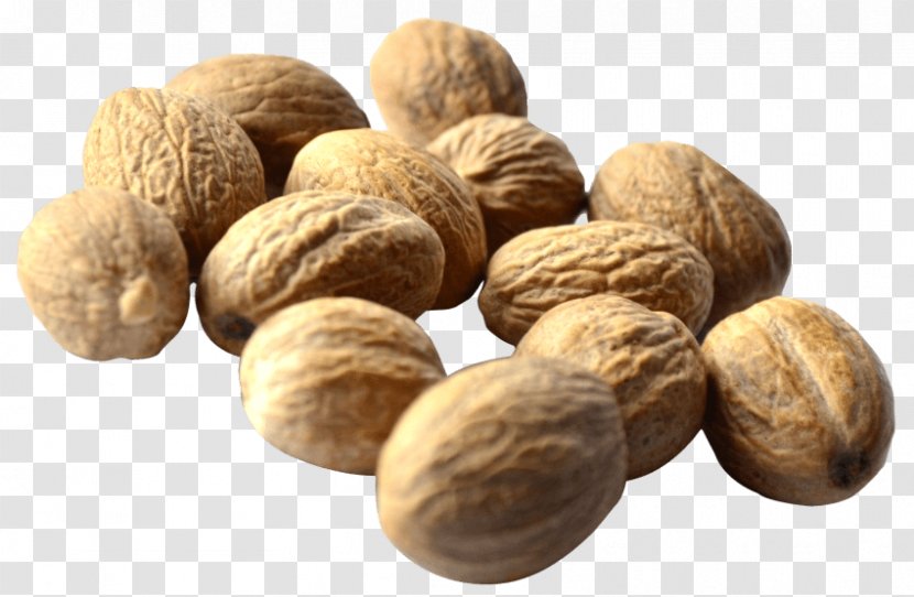 English Walnut Eastern Black Food Transparent PNG