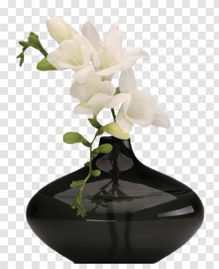 Black Vase With White Orchids Picture - Plant - Floral Design Transparent PNG