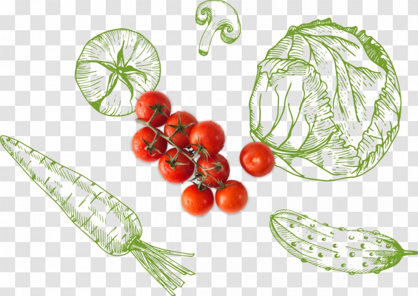 Meal Food Healthy Diet Eating - Superfood - Salad Bowl Transparent PNG