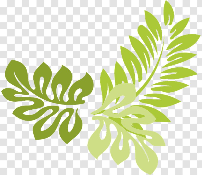 Leaf Fern Clip Art - Grass - Parsley Transparent PNG