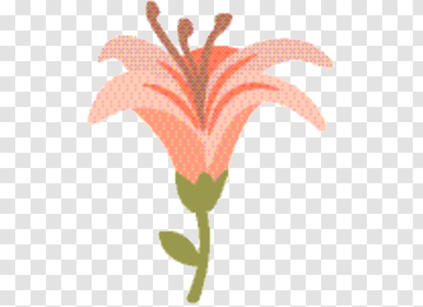 Floral Flower Background - Pedicel - Plant Transparent PNG