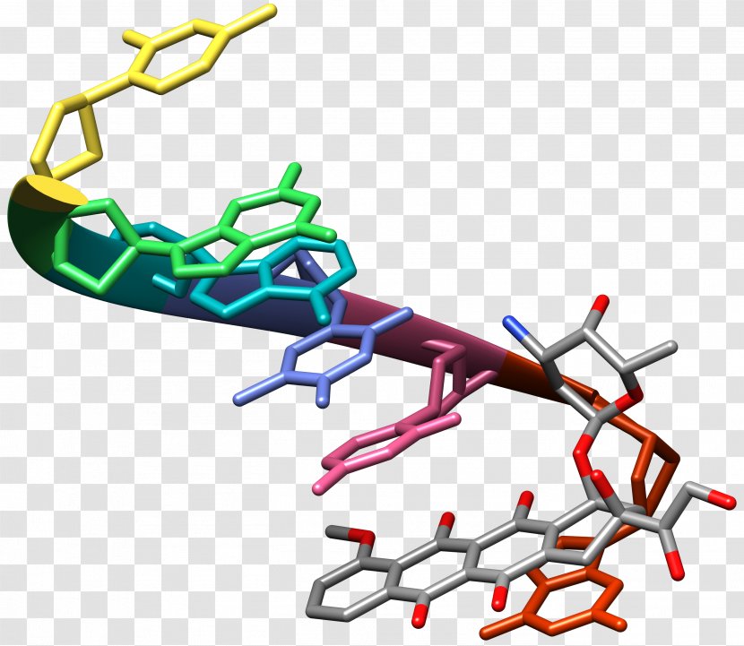 Doxorubicin DNA Anthracycline Chemistry DNK - Organism - Deoxyuridine Monophosphate Transparent PNG