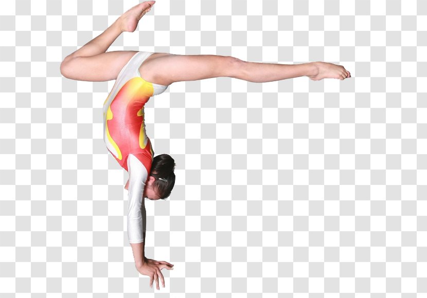 Physical Fitness Gymnastics Balance Beam Strength Training Exercise - Tree Transparent PNG
