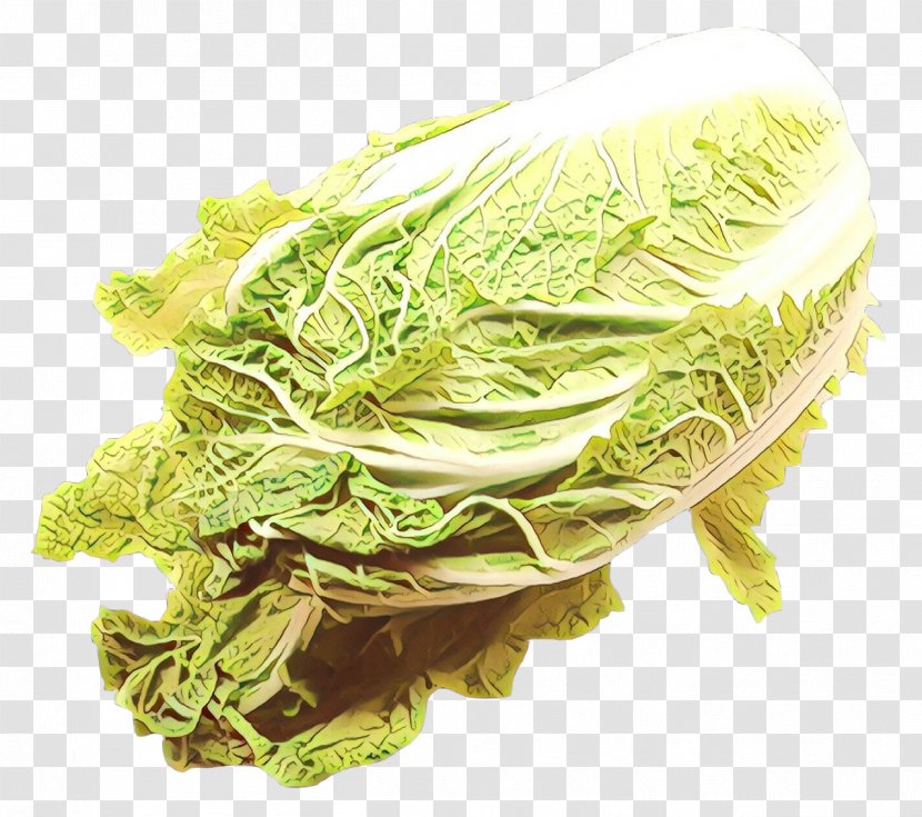 Chinese Food - Cabbage - Vegetarian Vegetable Transparent PNG
