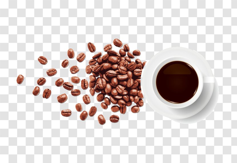 Coffee Bean Espresso - Roasting - Freshly Ground Beans Transparent PNG