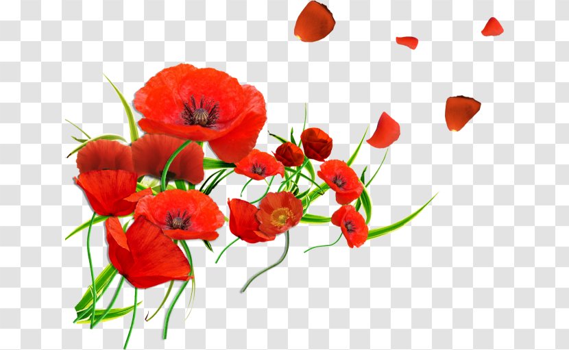 California Poppy Common Remembrance Blood Swept Lands And Seas Of Red - Armistice Day - Flower Transparent PNG