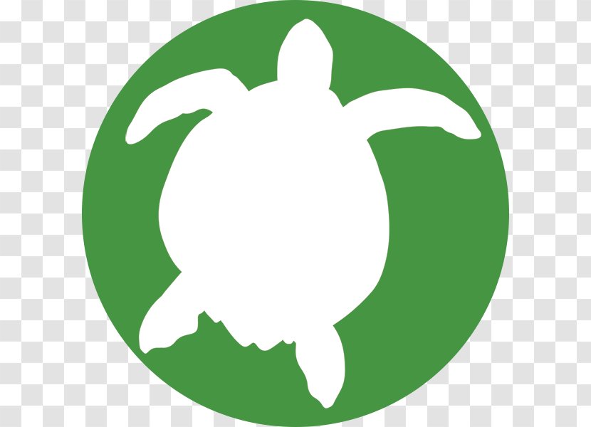 Bromsgrove Ecosse - Crime - Portugal Theft ຈັນທະບູລີ BurglaryWatercolor Turtle Transparent PNG