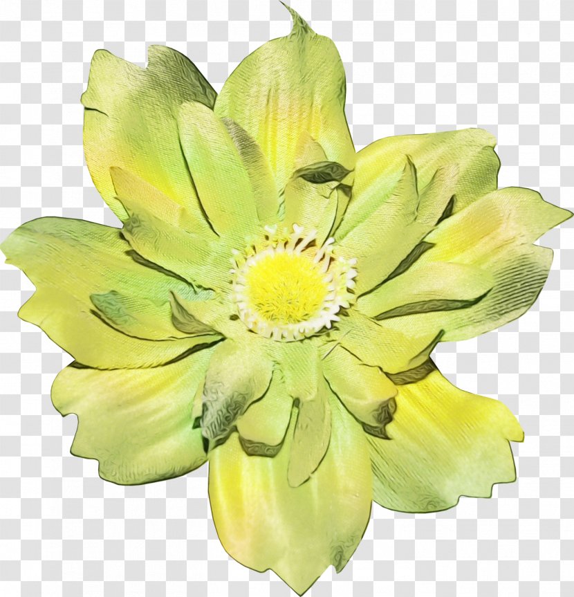 Floral Design - Gerbera - Sunflower Transparent PNG