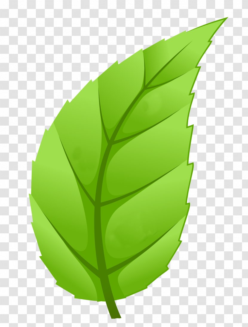 Light Sustainability Sustainable Development Leaf Natural Environment - Green Transparent PNG