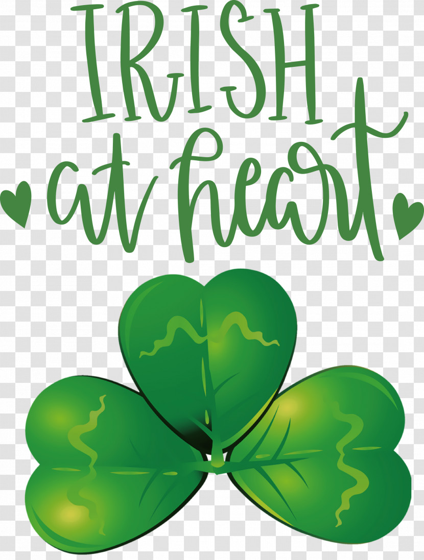 Shamrock Irish Saint Patrick Transparent PNG